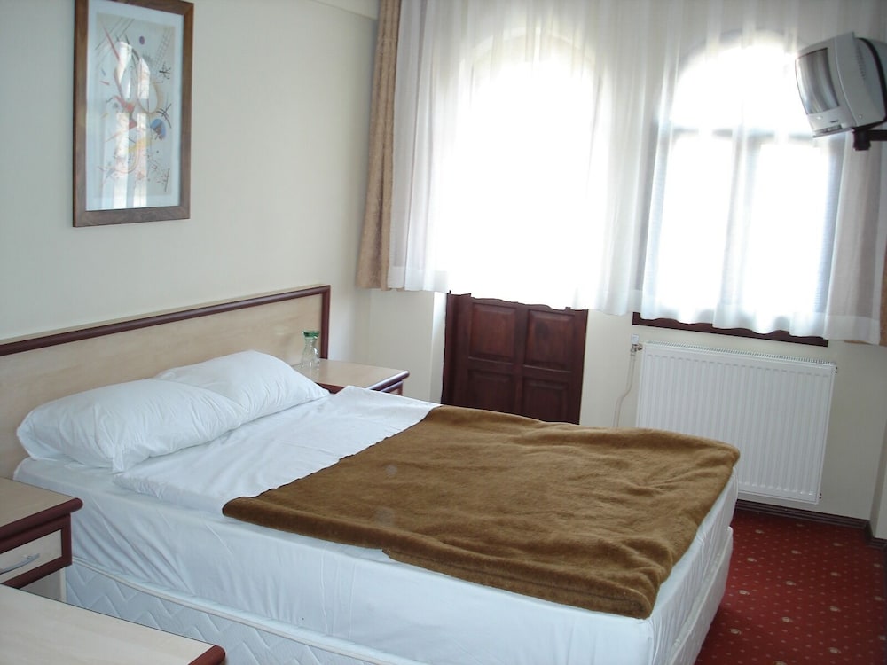 Standard Double or Twin Room photo 1