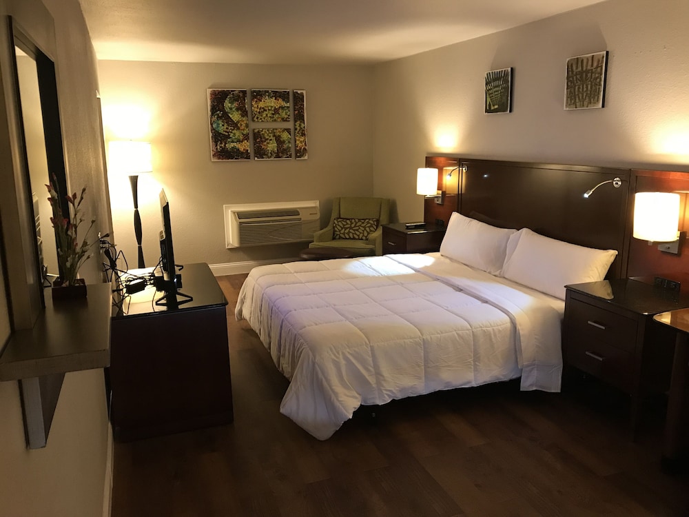 Luxury Suite, 1 King Bed, Refrigerator & Microwave photo 1