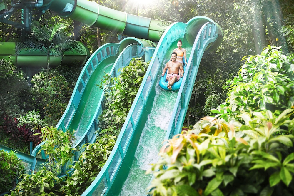 3D2N Waves of Fun - Deluxe Room with comp One-Day Tickets for 2 Adults to Adventure Cove Waterpark 3D2N Waves of Fun - Deluxe Room with comp One-Day Tickets for 2 Adults to Adventure Cove Waterpark