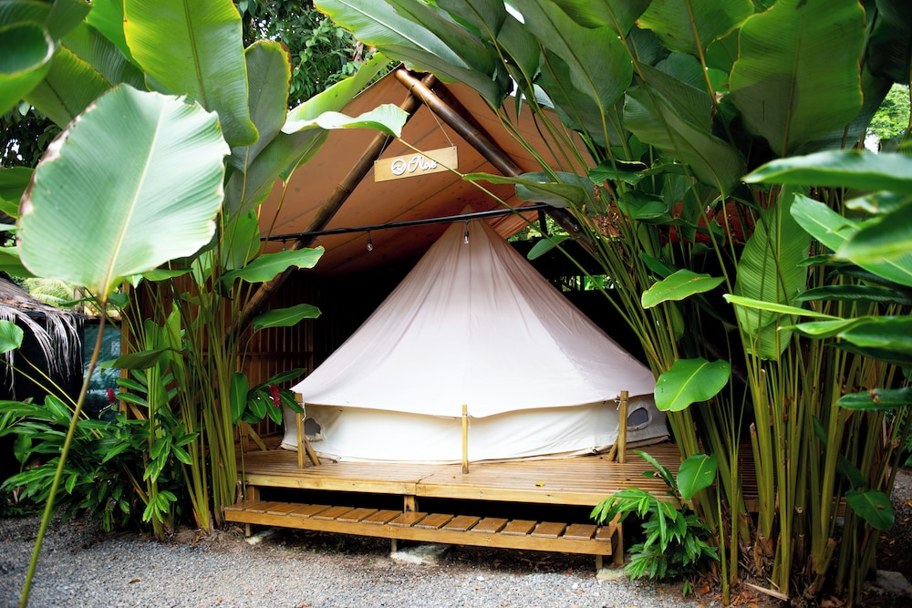 Luxury Tent photo 3