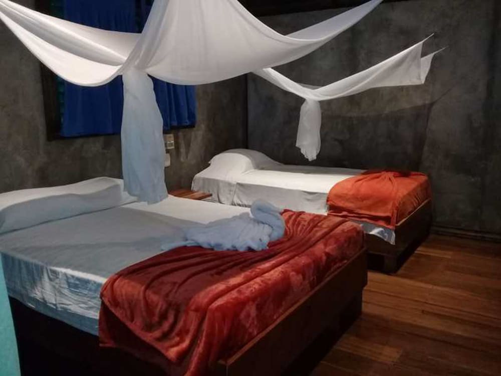 Standard Triple Room, Multiple Beds photo 1