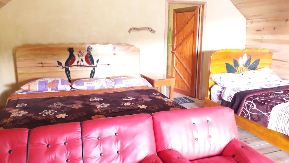 Basic Double Room photo 1