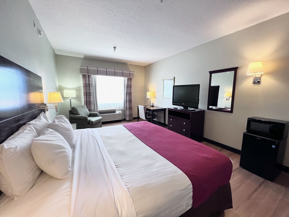 Room, 1 King Bed, Non Smoking photo 2