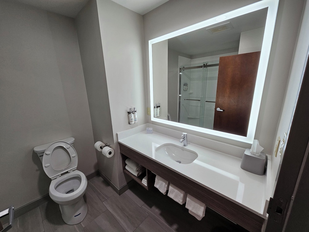Standard Room, 1 King Bed (Extra Floor Space), photo 6