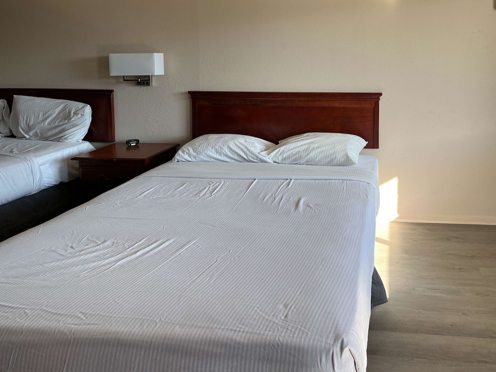 Standard Suite, 1 King Bed, Non Smoking, Kitchenette - Photo 3