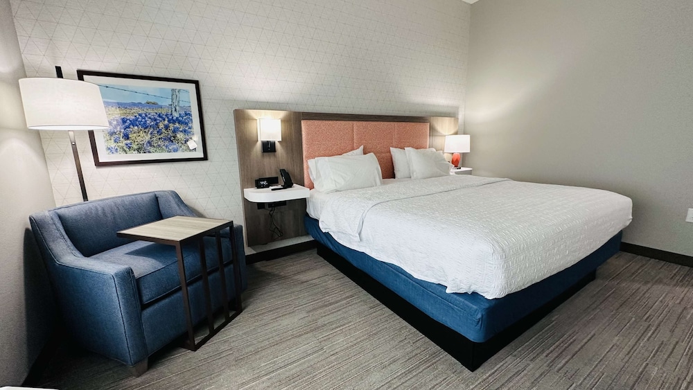 Room, 1 King Bed, Accessible, Bathtub - Photo 5