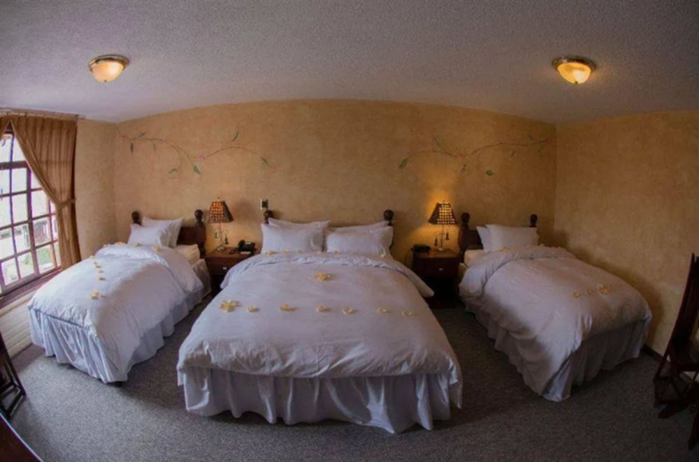 Superior Quadruple Room photo 2