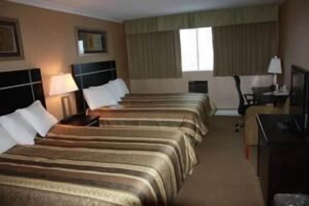 Deluxe Double Room with Sofa bed photo 1