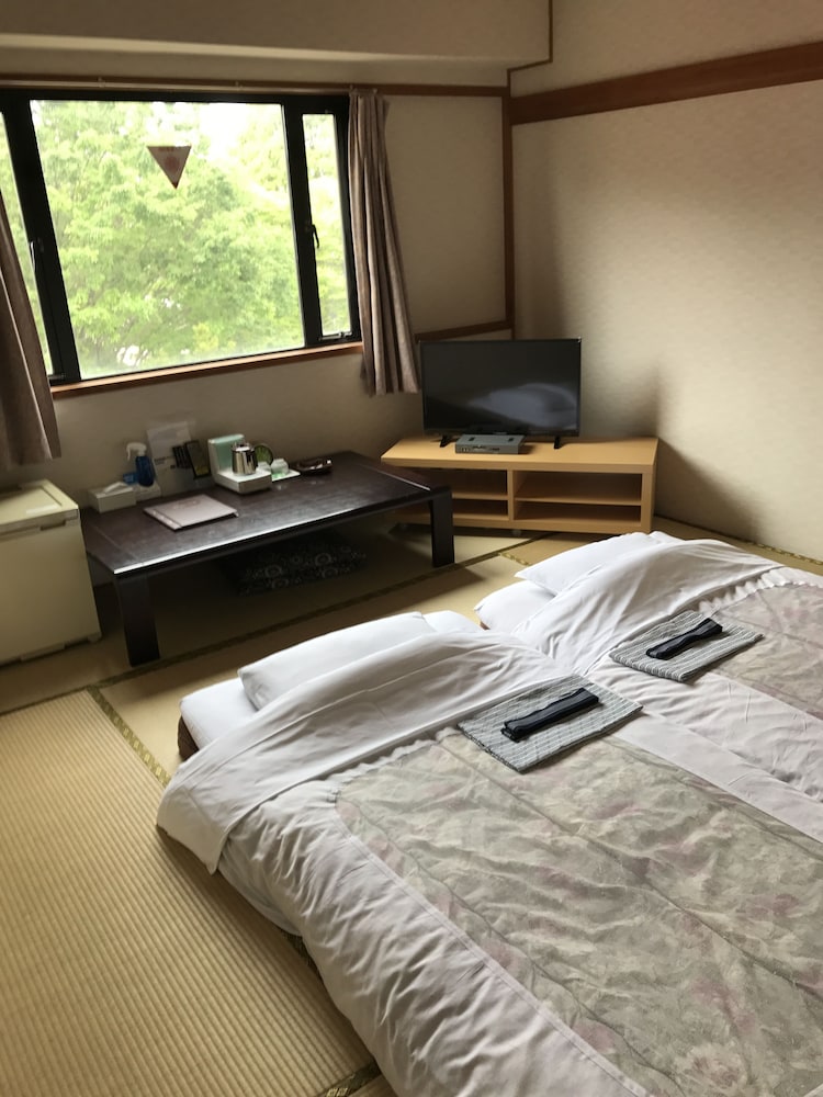 Traditional Room, Smoking photo 3