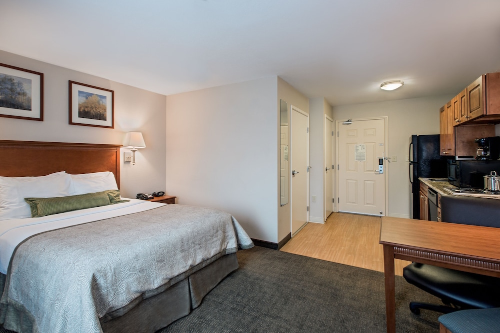 Studio Suite, 1 King Bed, Refrigerator - Photo 3