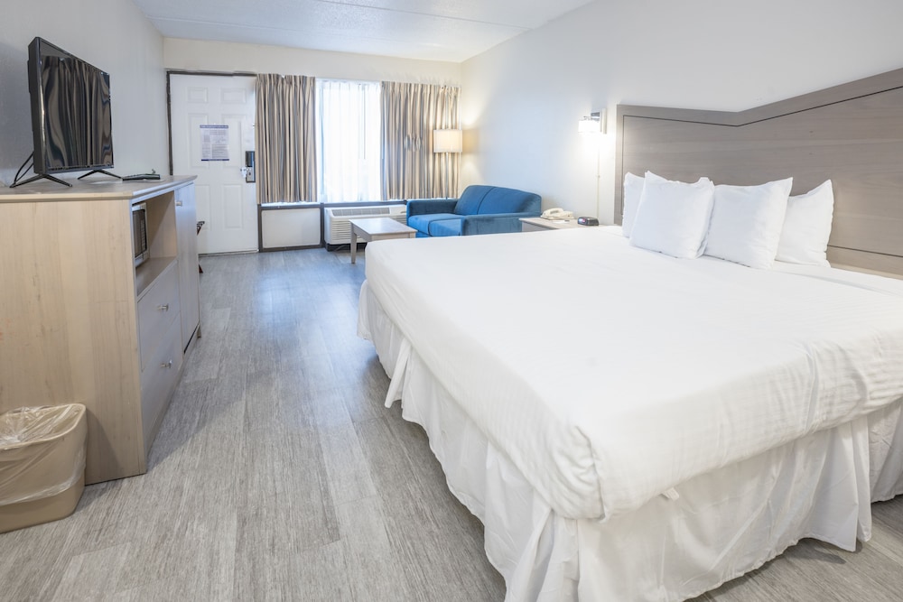 Standard Room, 1 King Bed with Sofa bed