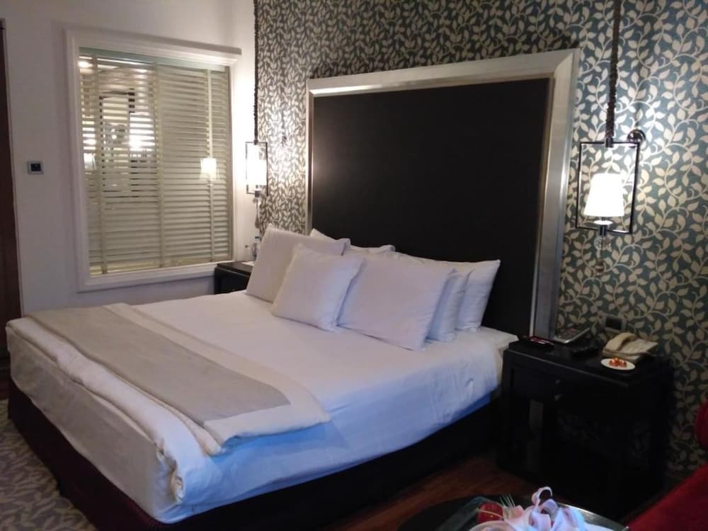 Rajputana Royale, Club lounge access, Double, Pool view - Photo 2