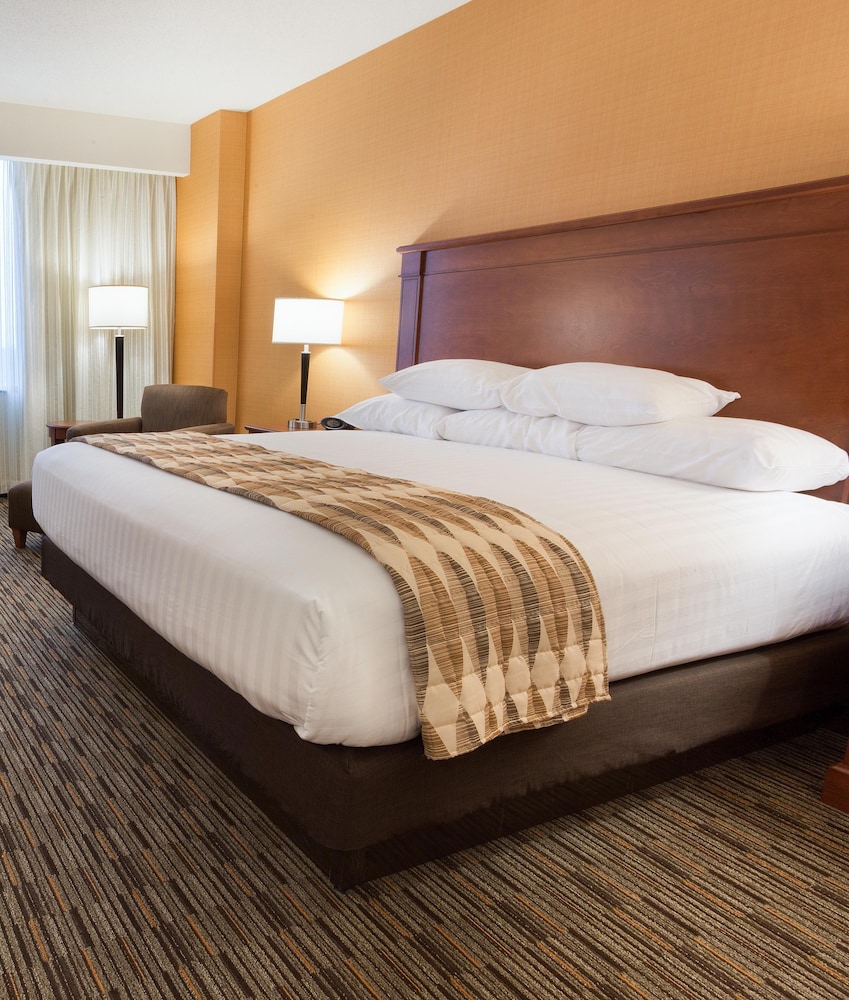Suite, 1 King Bed with Sofa bed, Refrigerator & Microwave (Upper Floor)