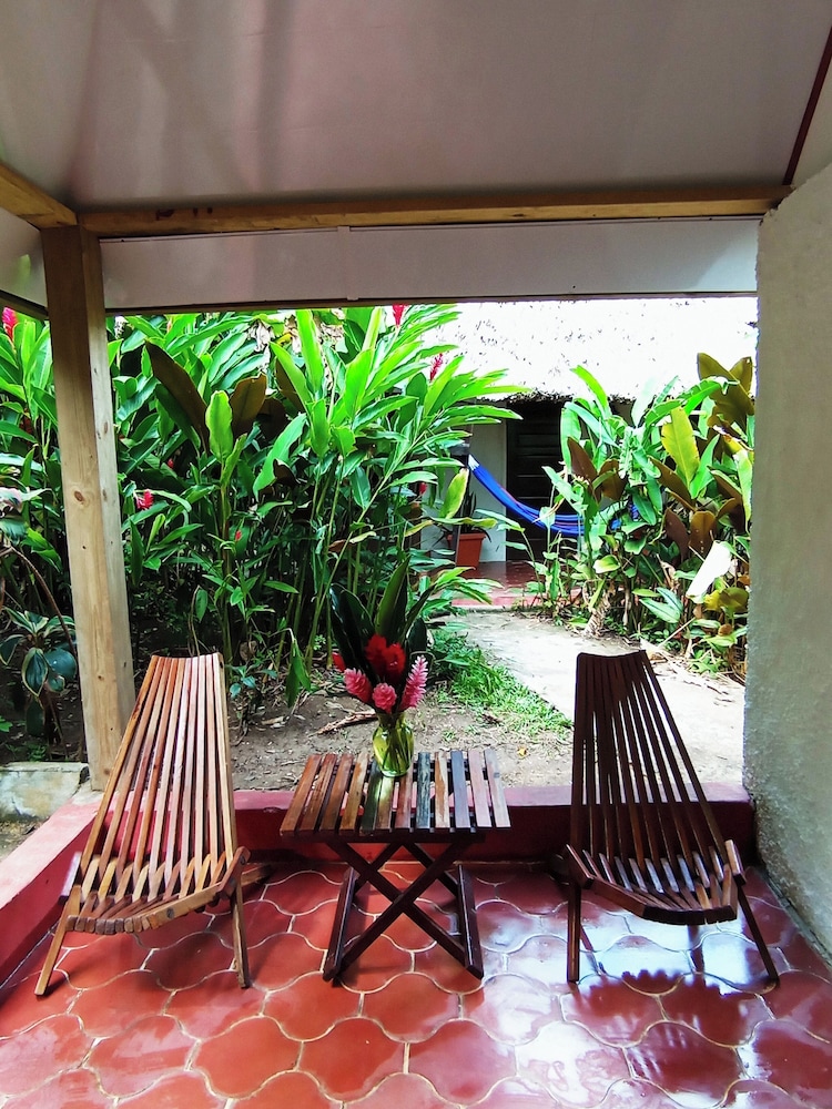 Junior Single Room, 1 Double Bed, Pool Access, Garden View photo 3