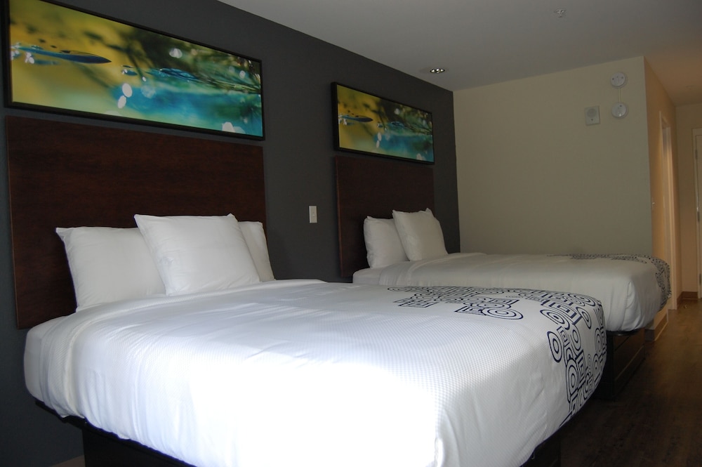 Deluxe Room - Photo 18