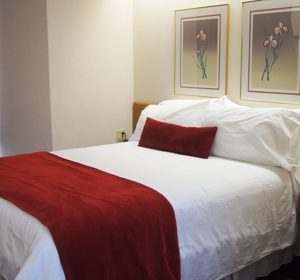 Room, 1 Queen Bed