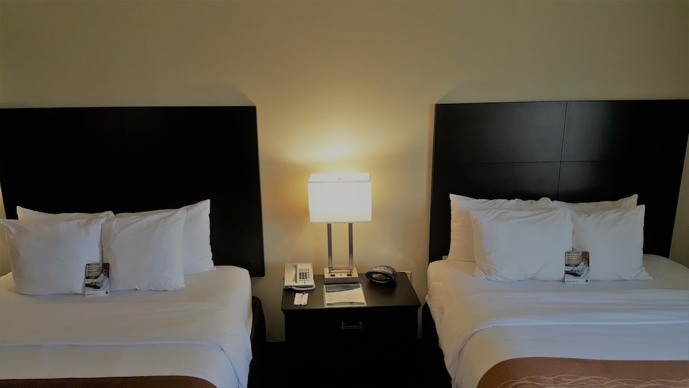Suite - Photo 2