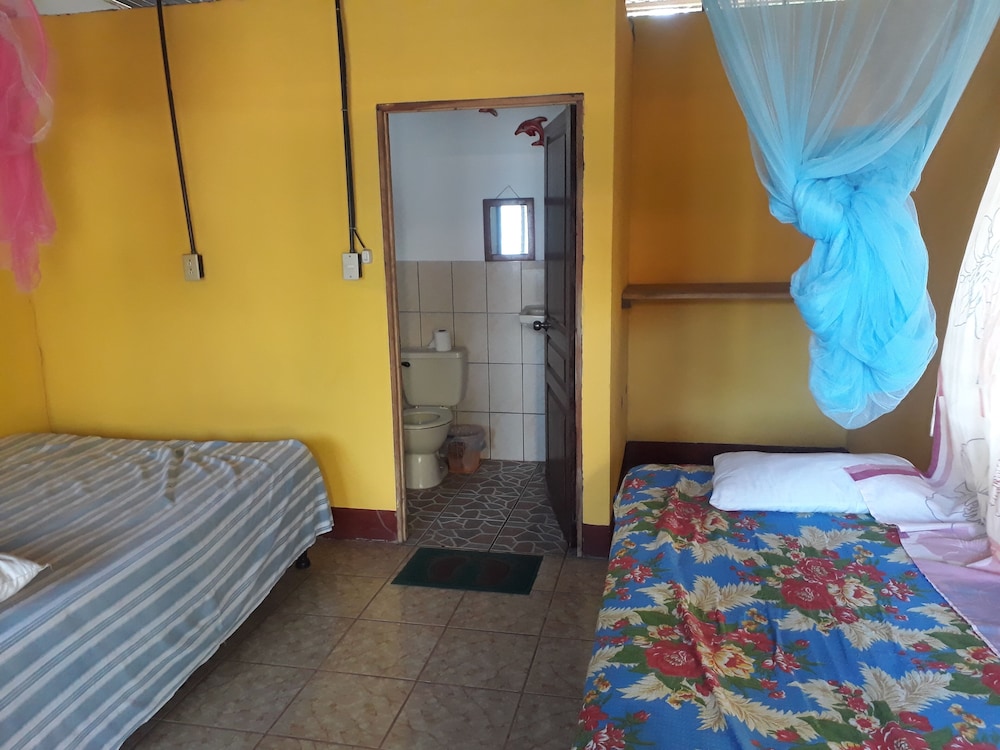 Cabin (1 Double and 2 Single Beds) photo 2