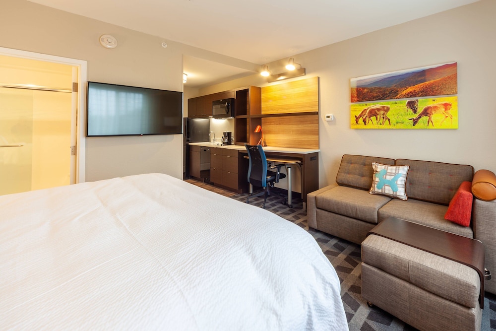 Studio, 1 King Bed with Sofa bed (Hearing Accessible)