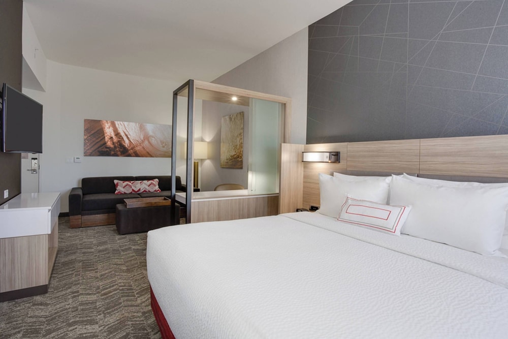 Suite, 1 King Bed, Non Smoking - Photo 2