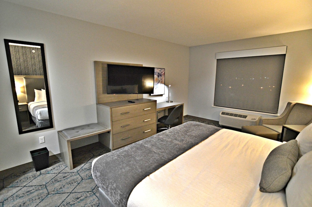 Standard Room, 1 King Bed, Non Smoking, Refrigerator & Microwave (Shower Only) - Photo 3