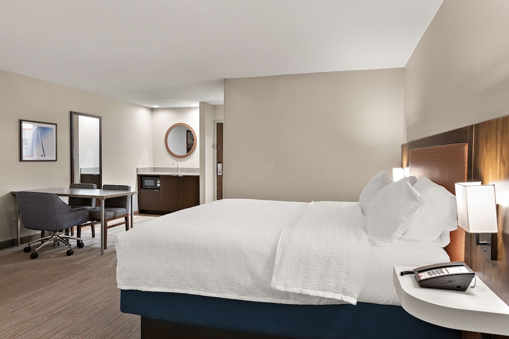Suite, 1 King Bed, Non Smoking photo 2