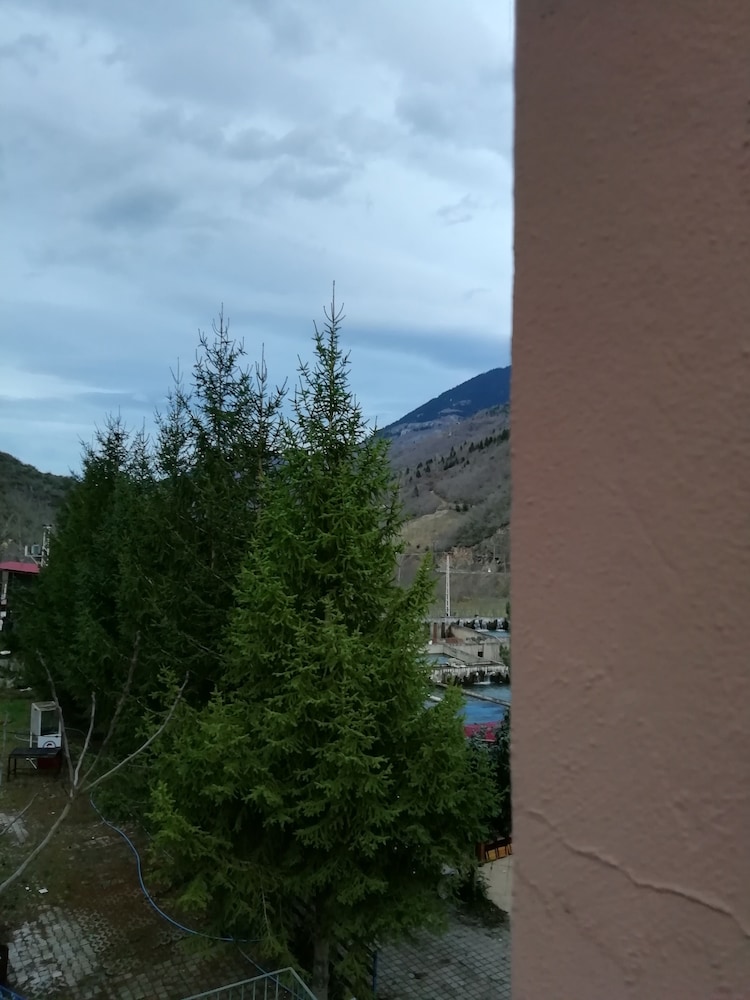 Deluxe Double or Twin Room, 2 Twin Beds, Non Smoking, River View photo 2