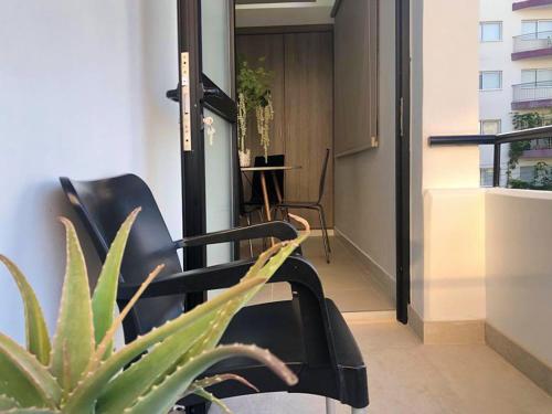 Studio Apartment photo 1