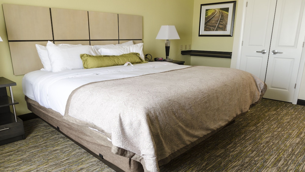 Suite, 1 Bedroom, Accessible (Communications, Roll In Shower) photo 1