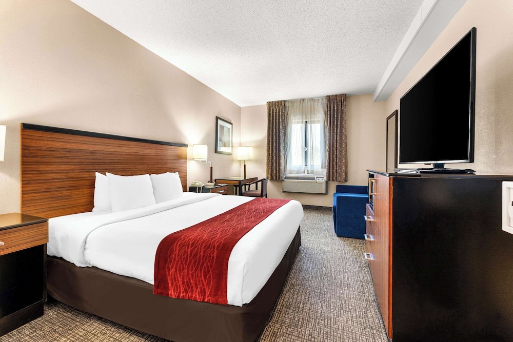 Standard Room, 1 King Bed, Accessible, Refrigerator & Microwave (with Sofabed) - Photo 1
