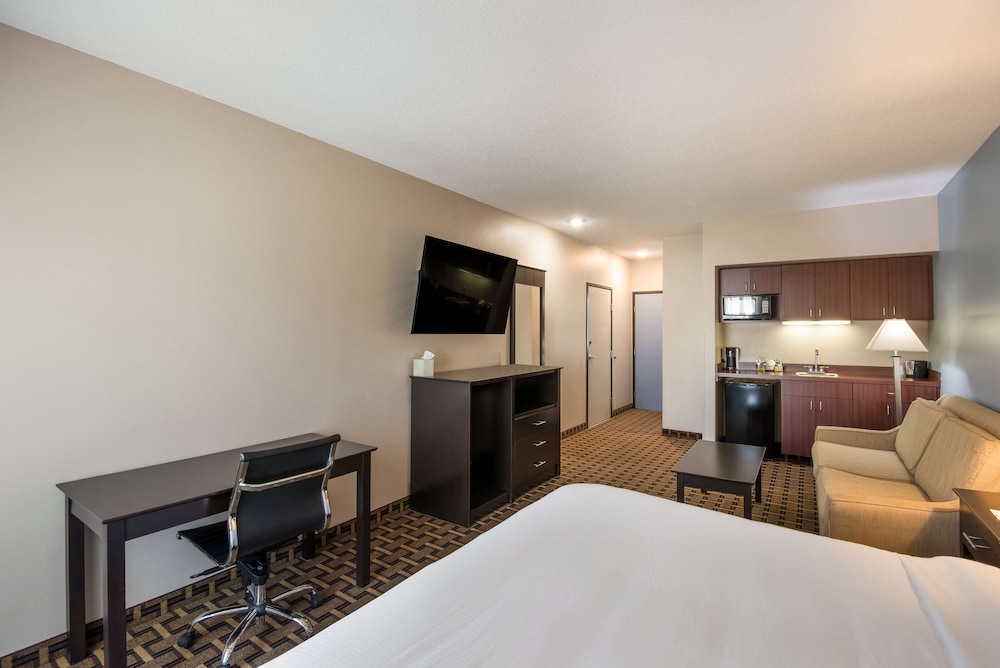 Standard Room, 1 King Bed, Non Smoking, Refrigerator & Microwave (with Sofabed) - Photo 3