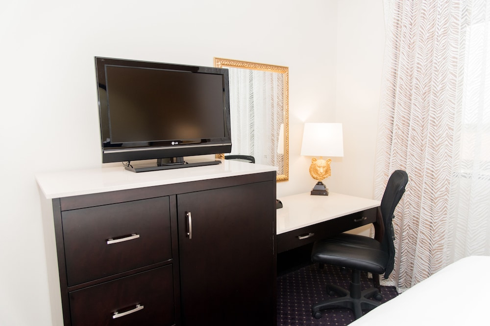 Luxury Suite, 1 King Bed photo 2