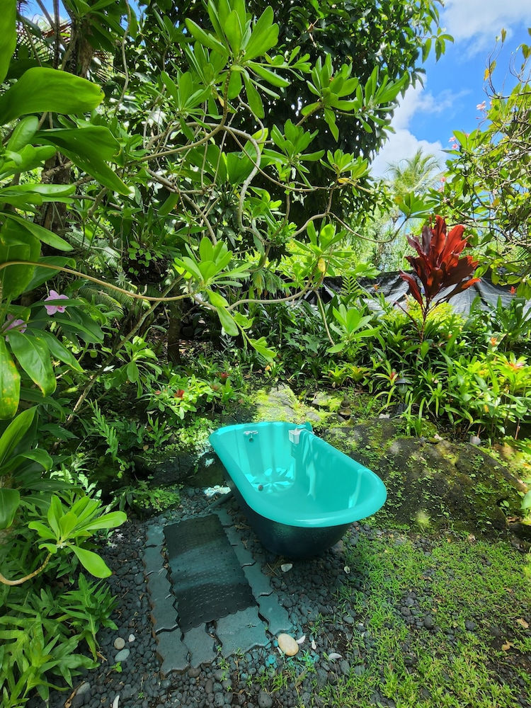 Hawaiian Suite photo 2