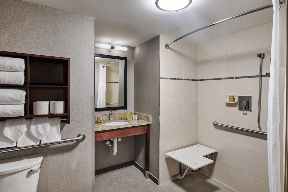Room, 1 King Bed, Accessible (Roll-In Shower, Mobility & Hearing) photo 3