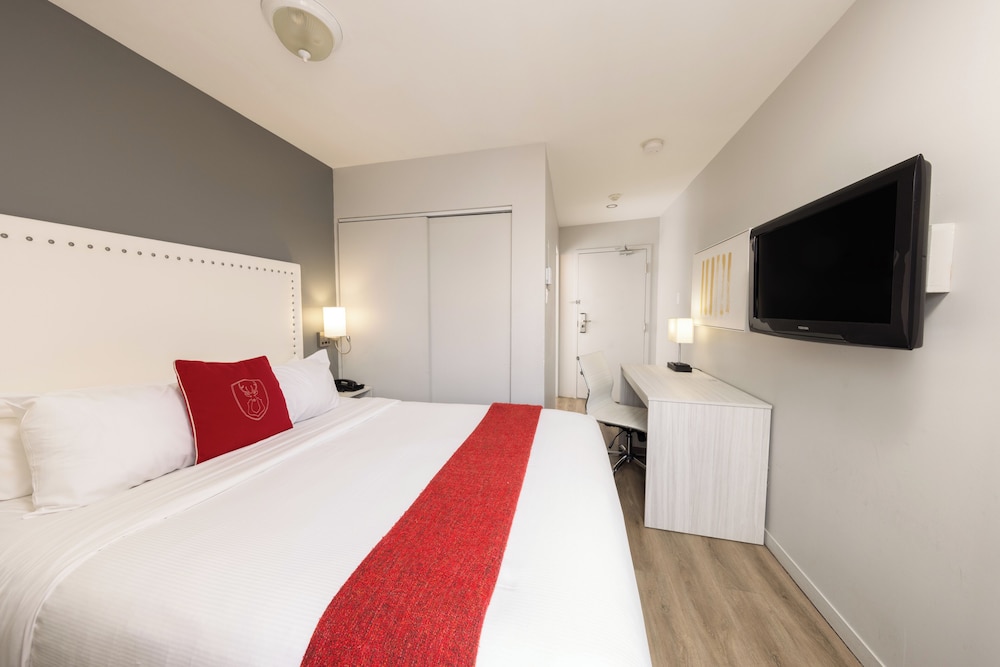 Economy Room, 1 Queen Bed - Photo 4