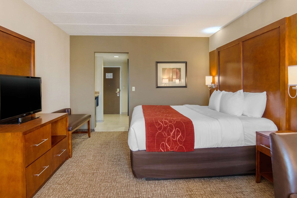 Studio Suite, 1 King Bed with Sofa bed, Accessible (Mobility and Hearing Accessible) - Photo 5