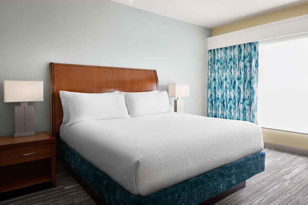 Suite, 1 King Bed, Mobility & Hearing Accessible (bathtub) - Photo 3