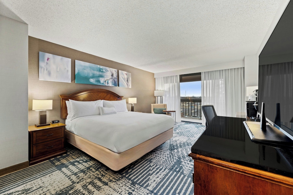 Suite, 1 Bedroom, Kitchenette (Hearing Accessible) photo 3