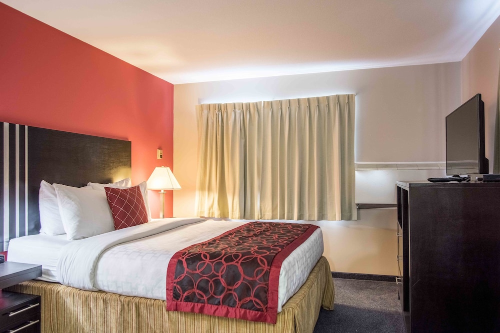 Room, 1 Queen Bed, Non Smoking (Pet Friendly) photo 3