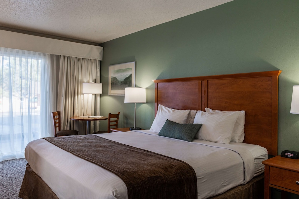Standard Room, 1 King Bed (1st Floor;Pet Friendly)