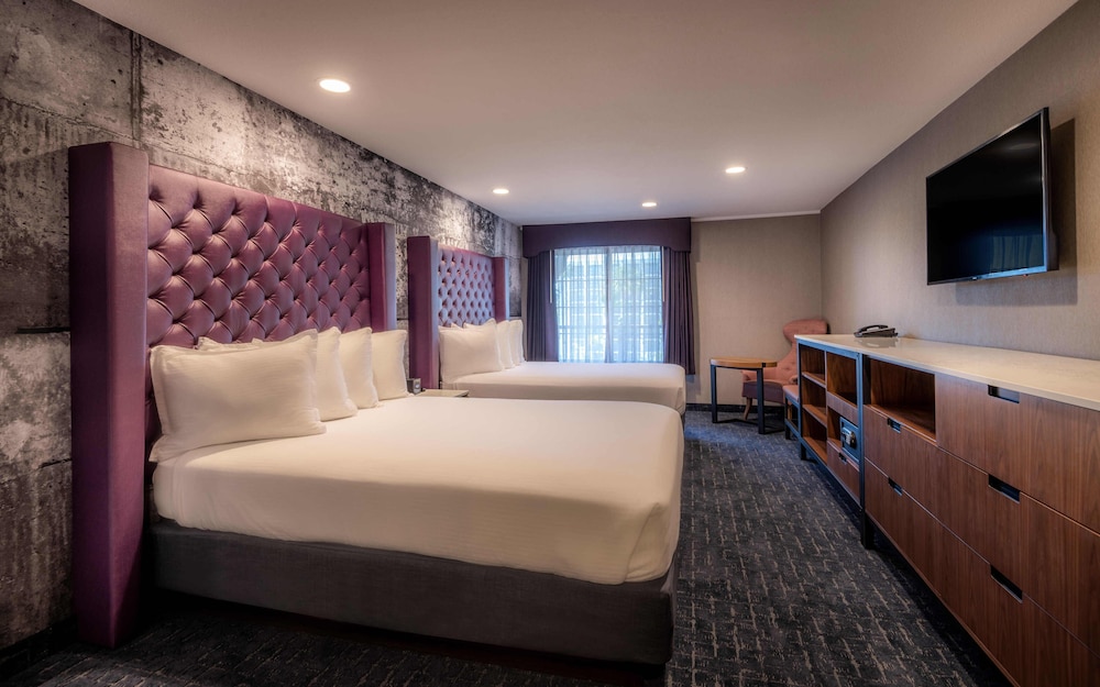 Two Room Family Suite - Photo 3