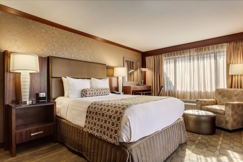 Suite, 1 Bedroom photo 3