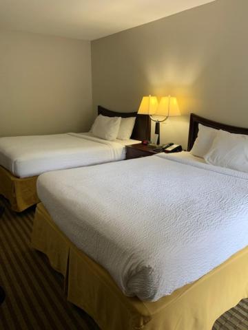 Queen Room with Two Queen Beds - Smoking photo 3
