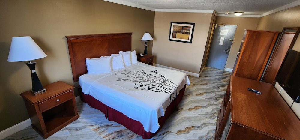 Room, 1 King Bed, Smoking - Photo 1