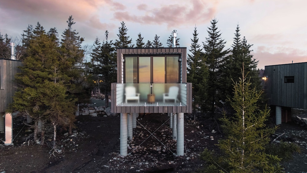 Luxury Tree House photo 1