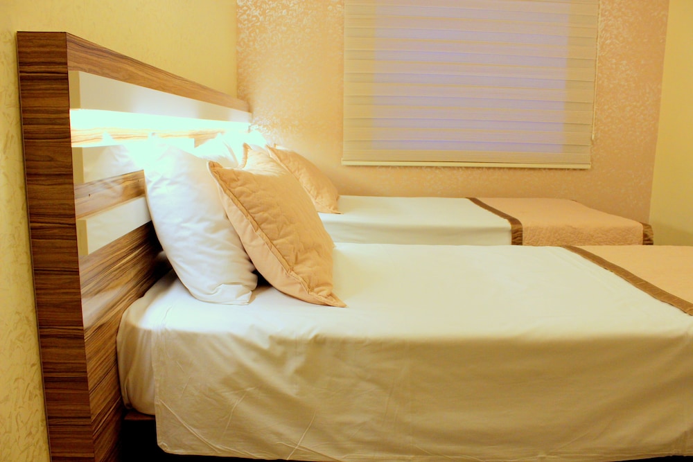 Deluxe Double or Twin Room photo 3