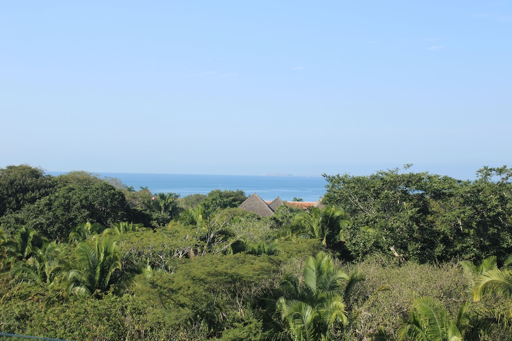 Preferred Club Jr Suite Ocean View King