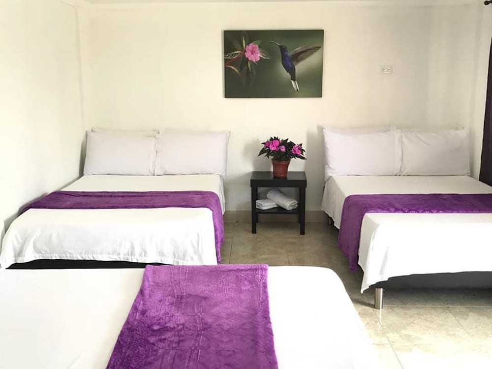 Triple Room photo 1
