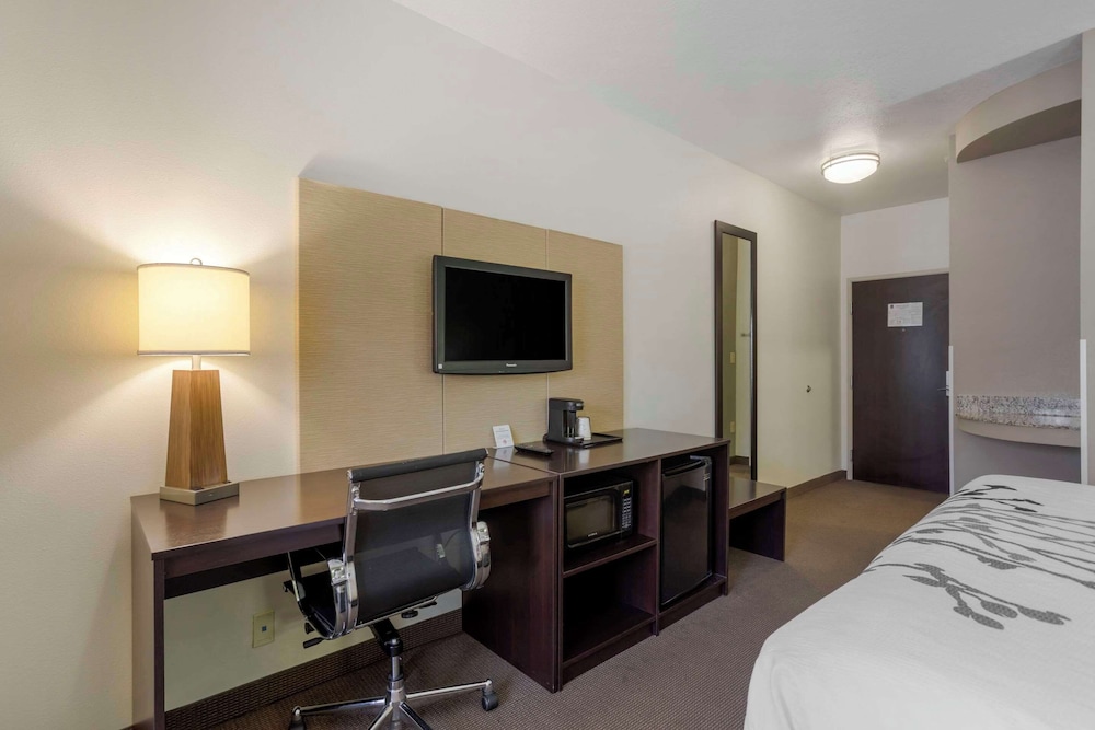 Suite, 1 King Bed with Sofa bed, Accessible, Non Smoking - Photo 1