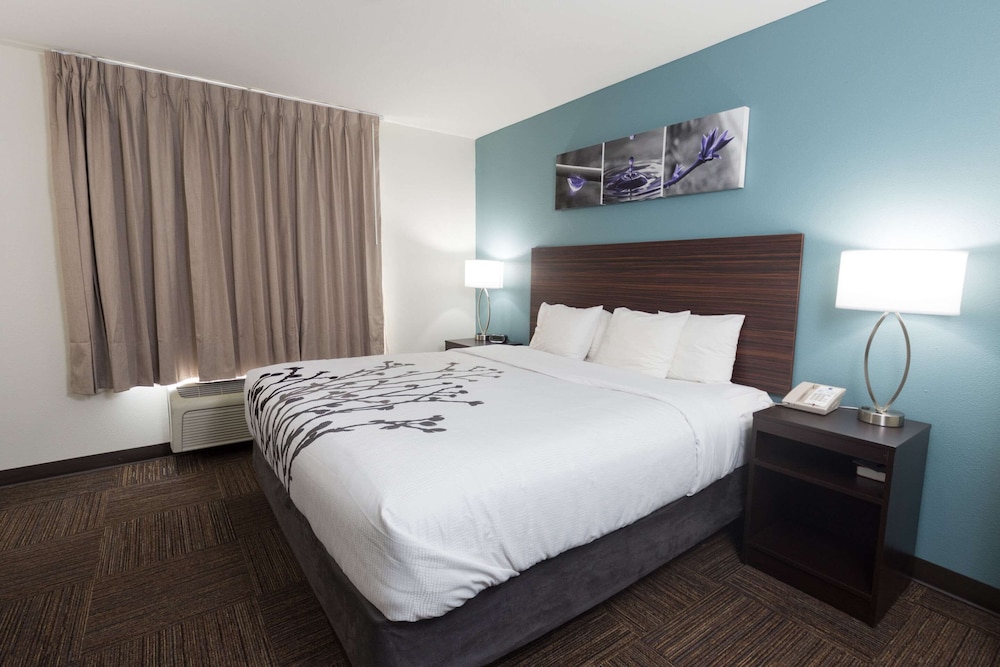 Standard Room, 1 King Bed, Non Smoking - Photo 4